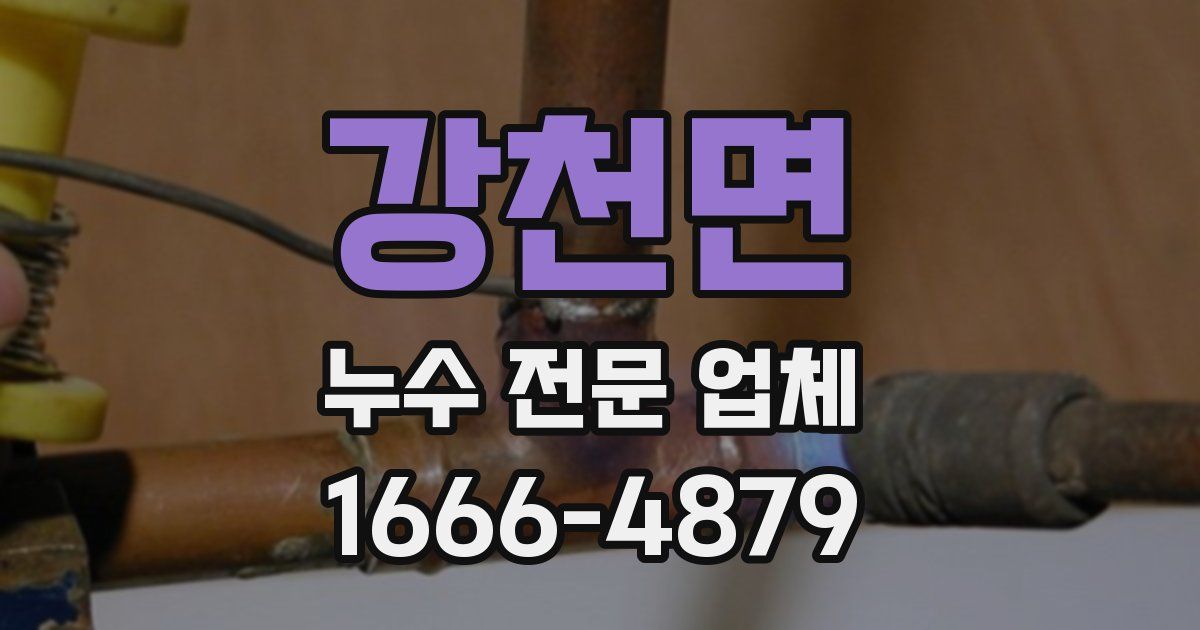 강천면 누수 전문 업체