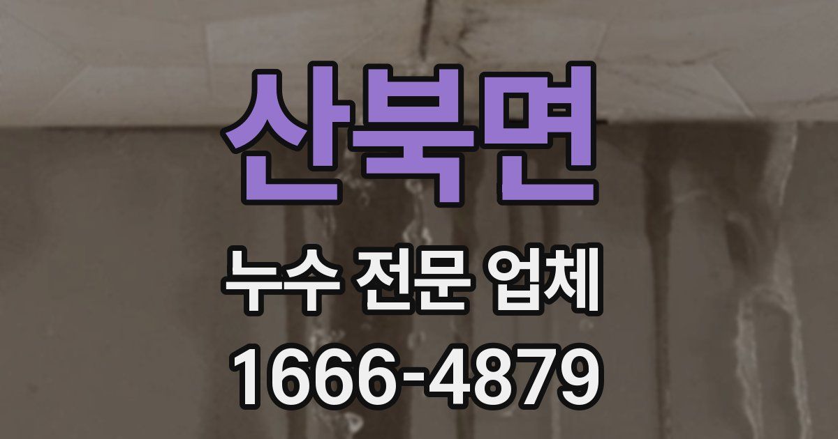산북면 누수 전문 업체