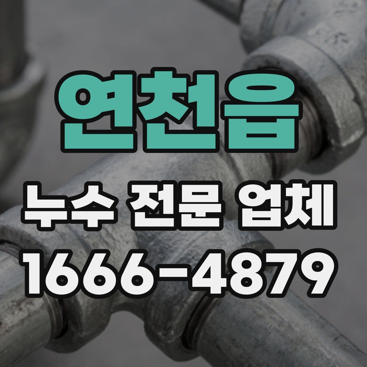 연천읍 누수 전문 업체