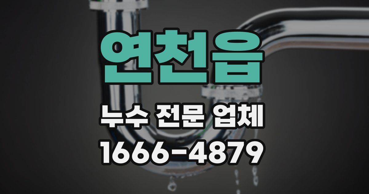 연천읍 누수 전문 업체