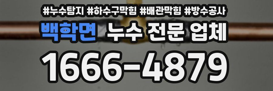 백학면 누수 전문 업체