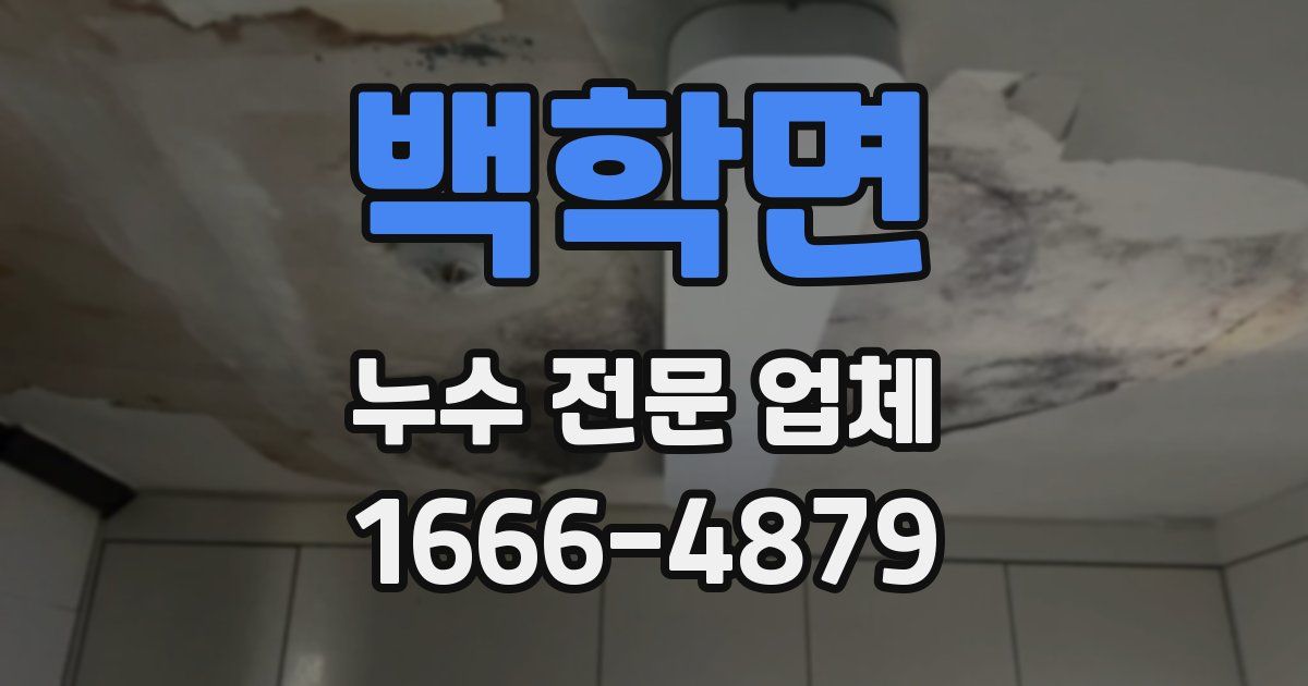 백학면 누수 전문 업체