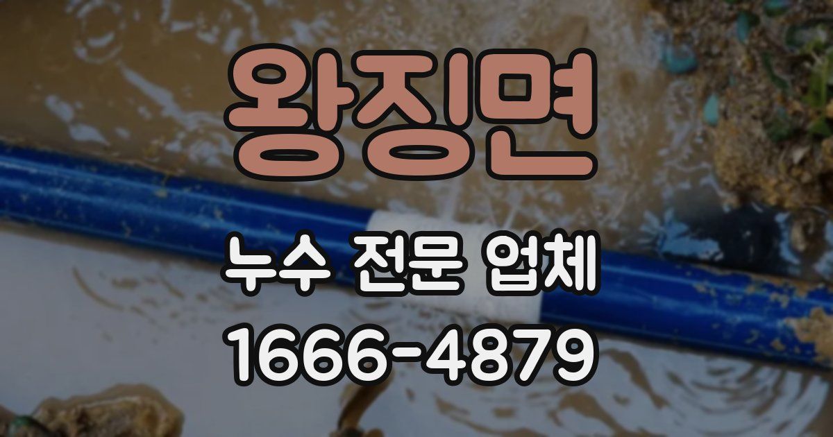 왕징면 누수 전문 업체