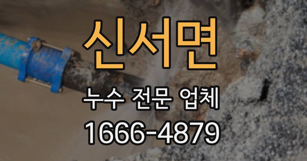 신서면 누수 전문 업체