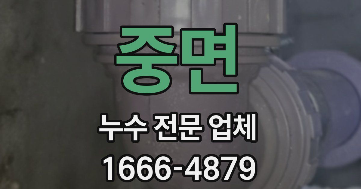 중면 누수 전문 업체