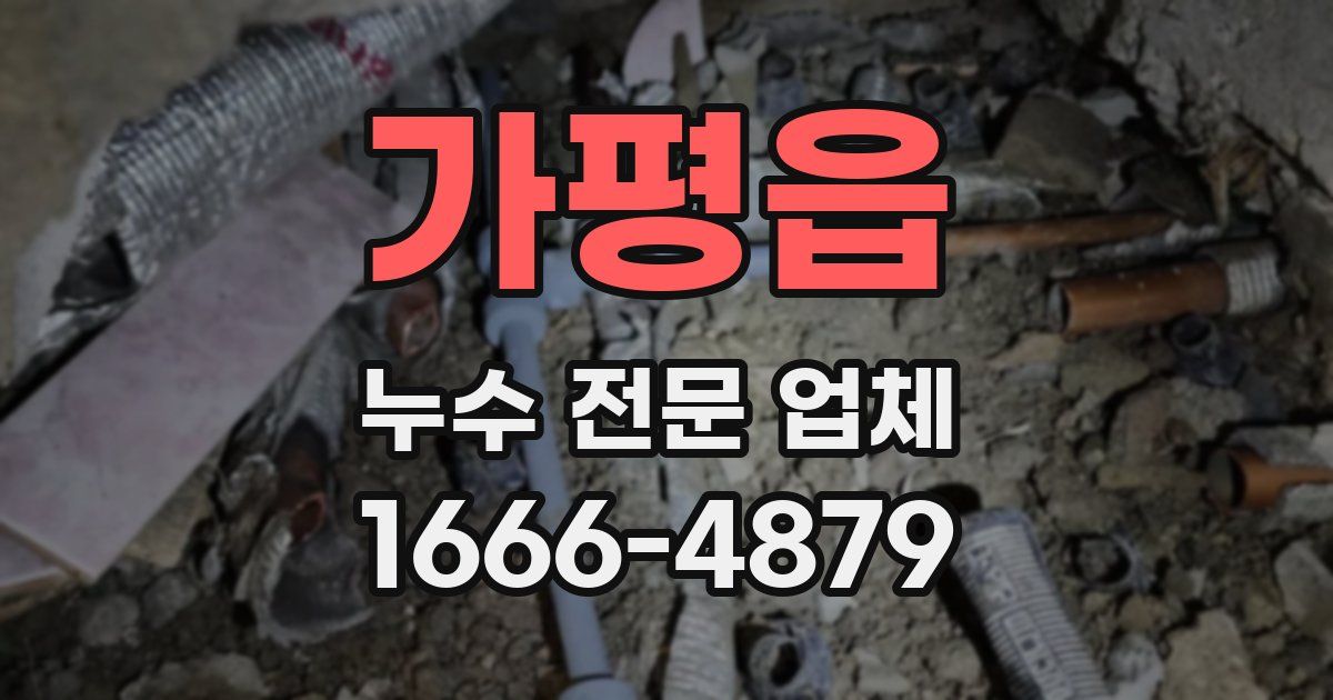 가평읍 누수 전문 업체