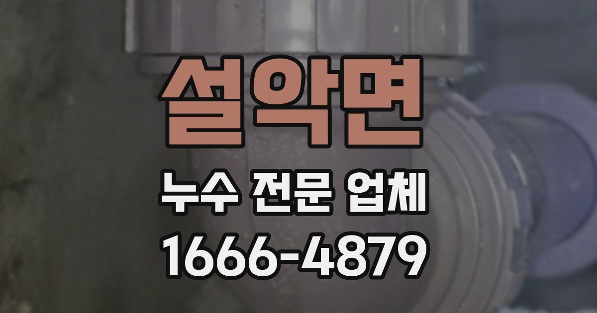 설악면 누수 전문 업체