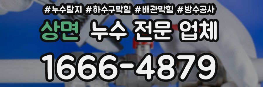 상면 누수 전문 업체