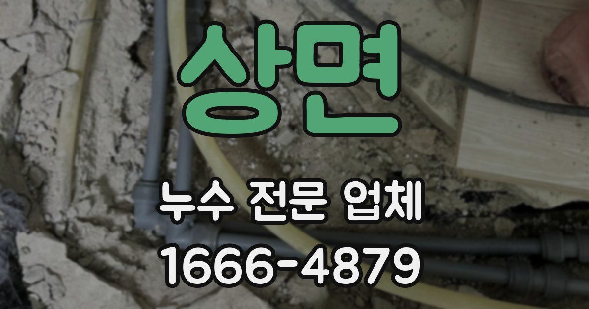 상면 누수 전문 업체