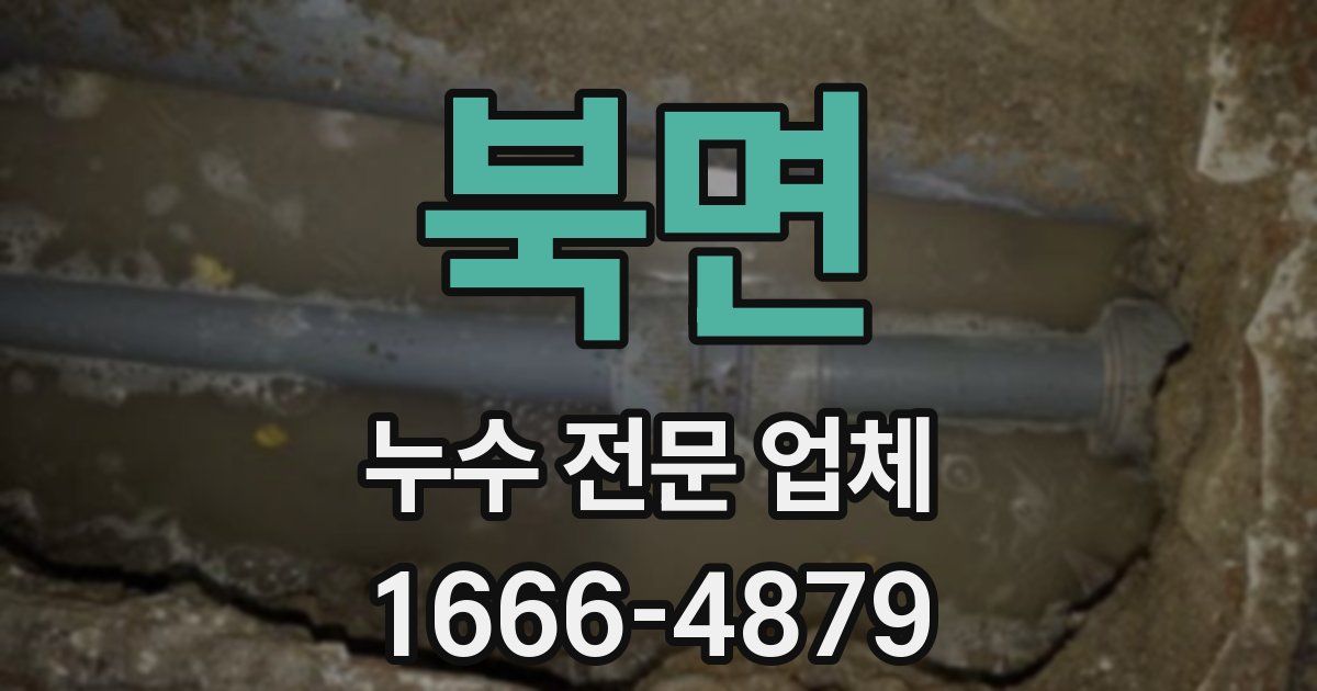 북면 누수 전문 업체