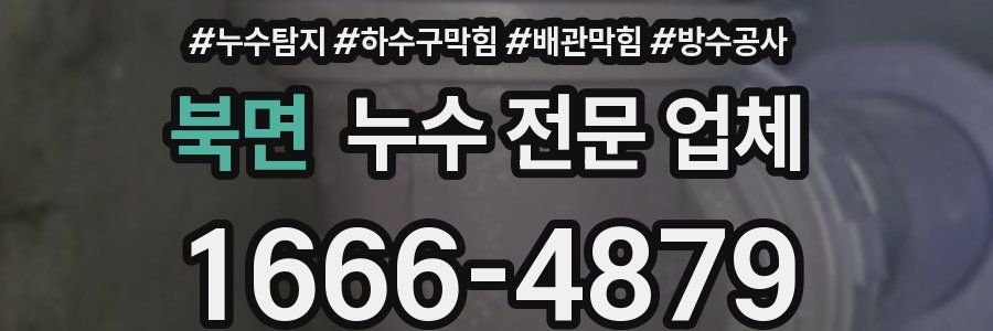 북면 누수 전문 업체