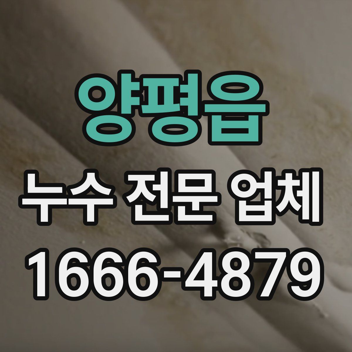 양평읍 누수 전문 업체