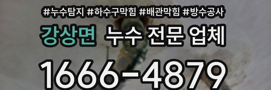 강상면 누수 전문 업체