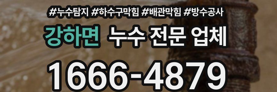 강하면 누수 전문 업체