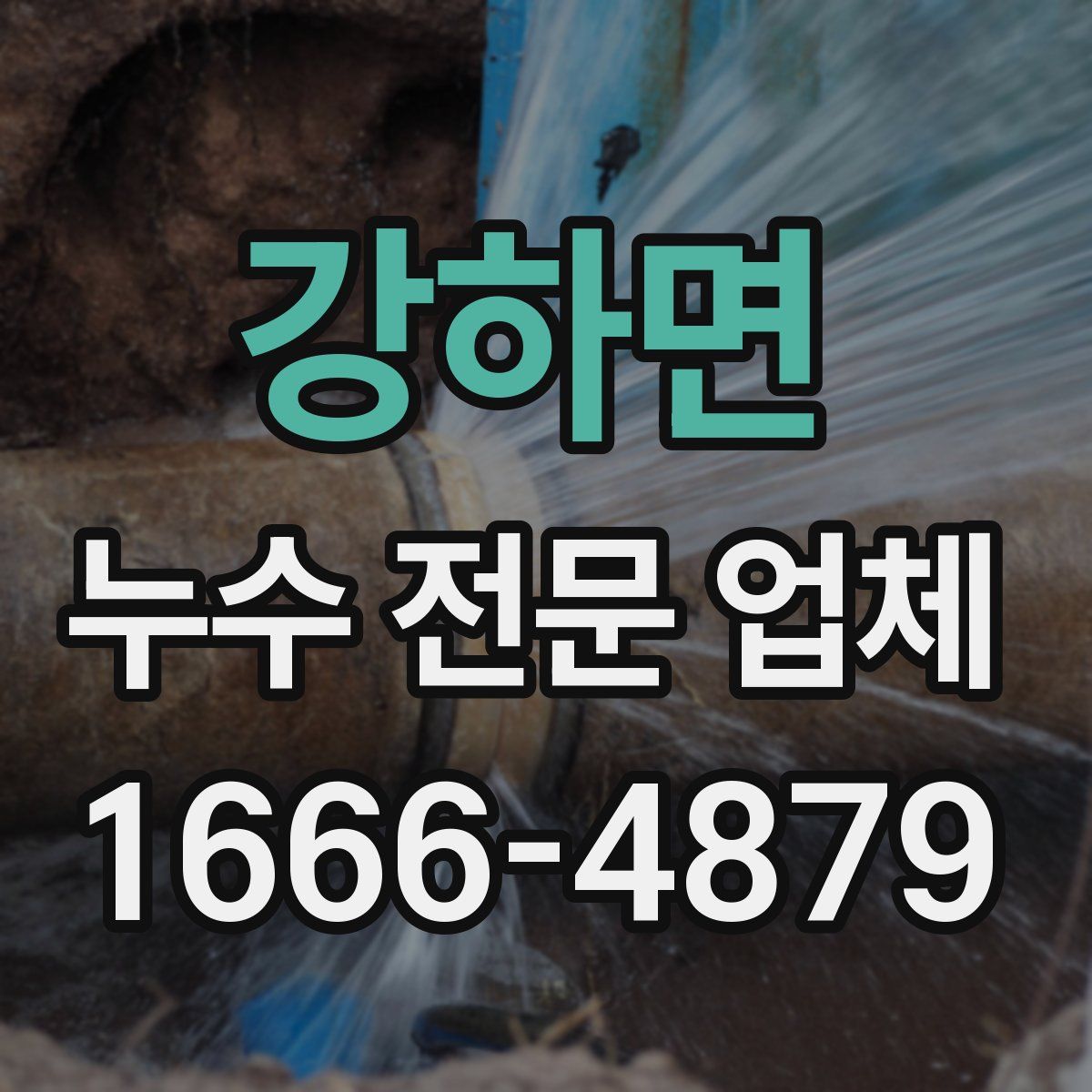 강하면 누수 전문 업체