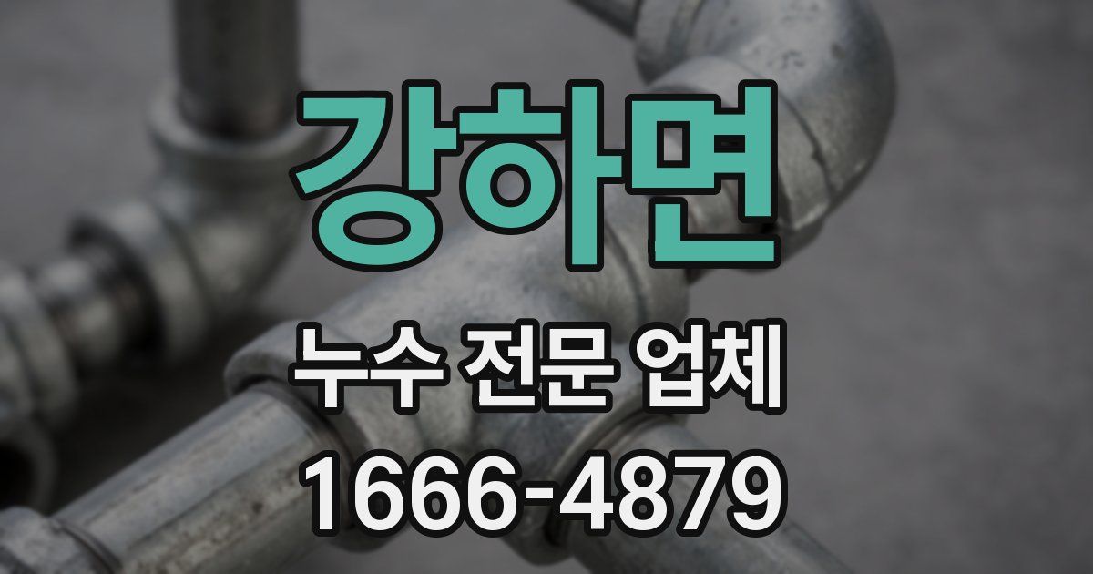 강하면 누수 전문 업체