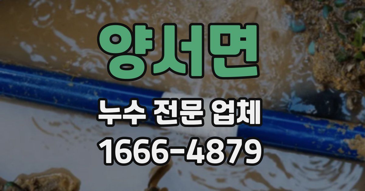 양서면 누수 전문 업체