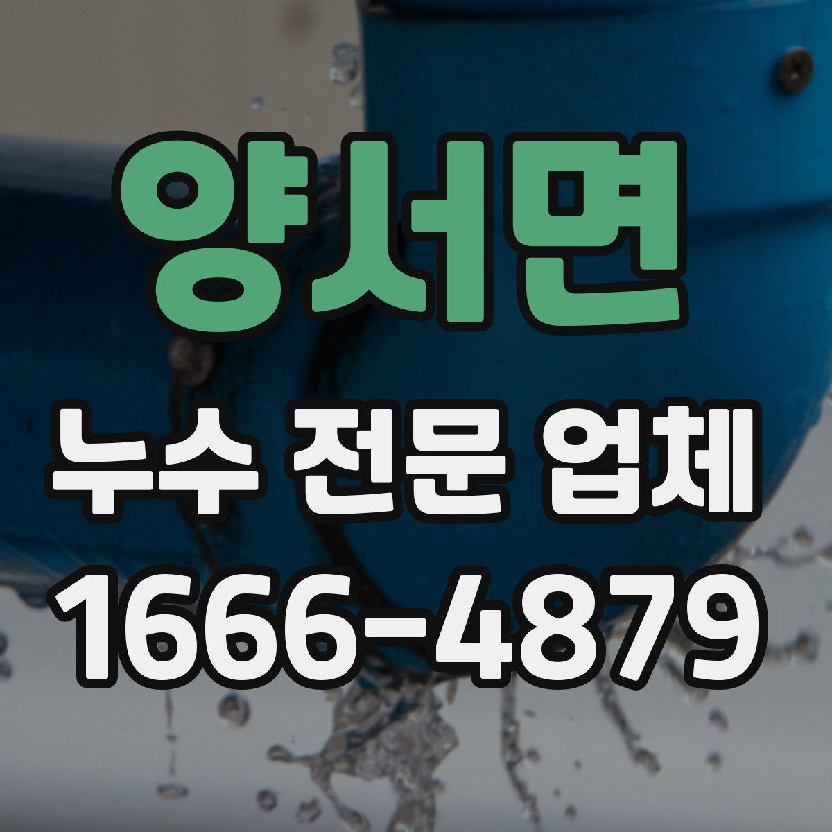 양서면 누수 전문 업체