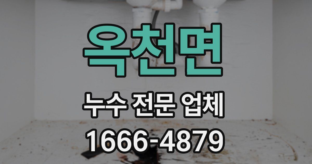 옥천면 누수 전문 업체