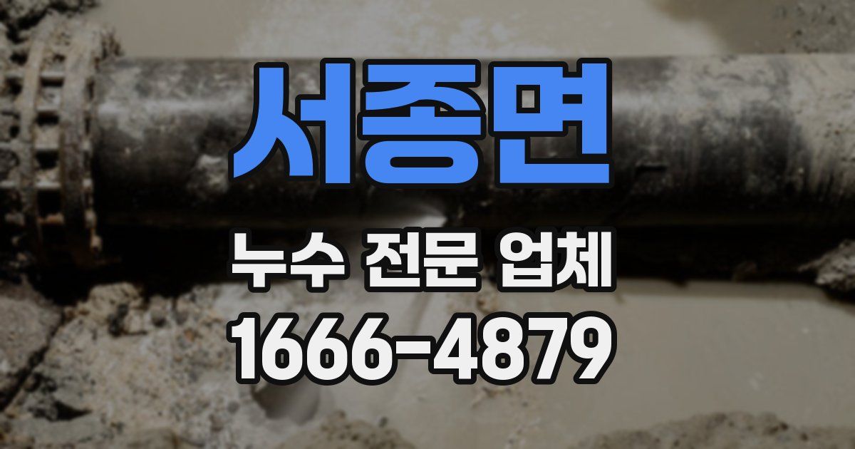 서종면 누수 전문 업체