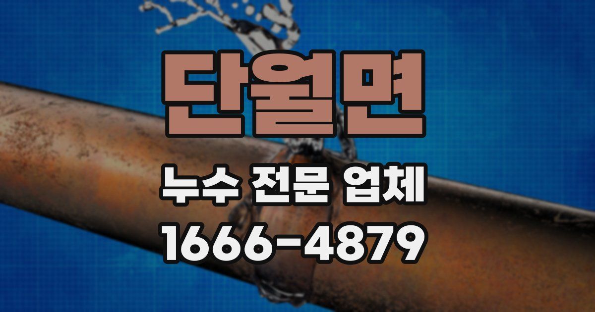 단월면 누수 전문 업체