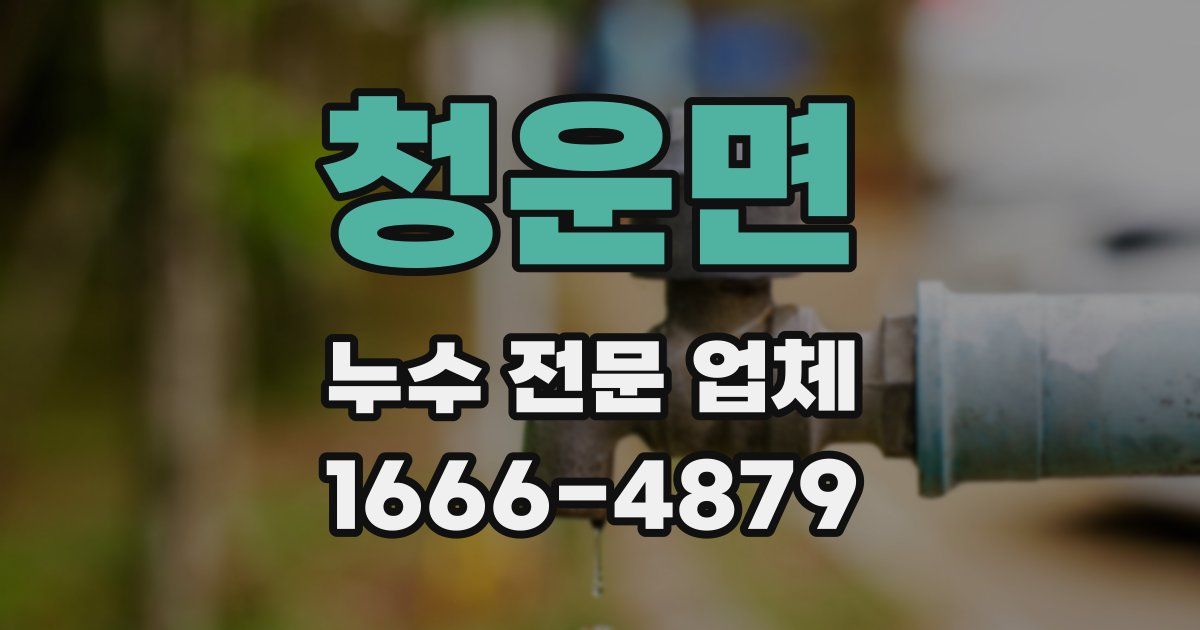 청운면 누수 전문 업체