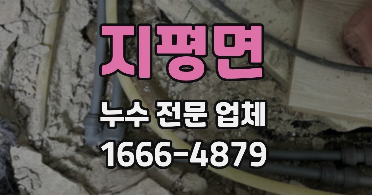 지평면 누수 전문 업체