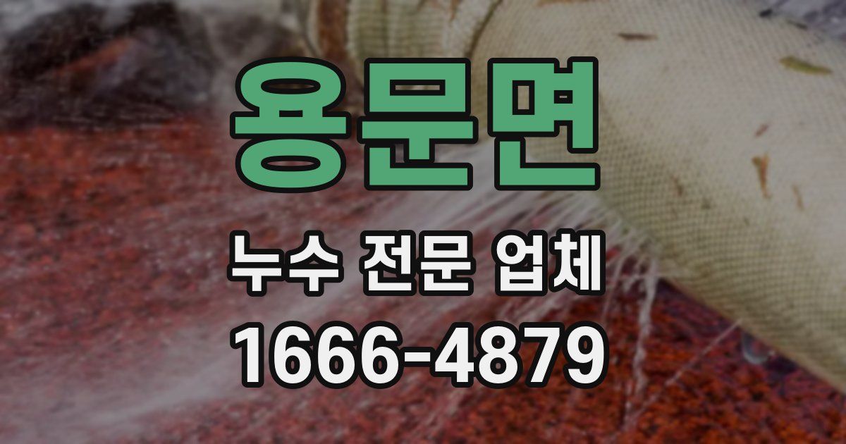 용문면 누수 전문 업체