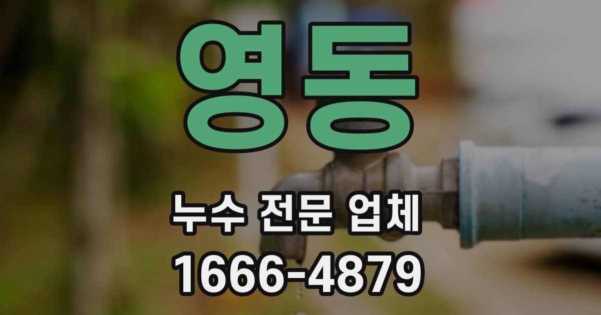 영동 누수 전문 업체
