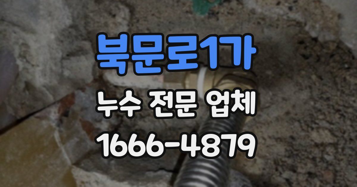 북문로1가 누수 전문 업체