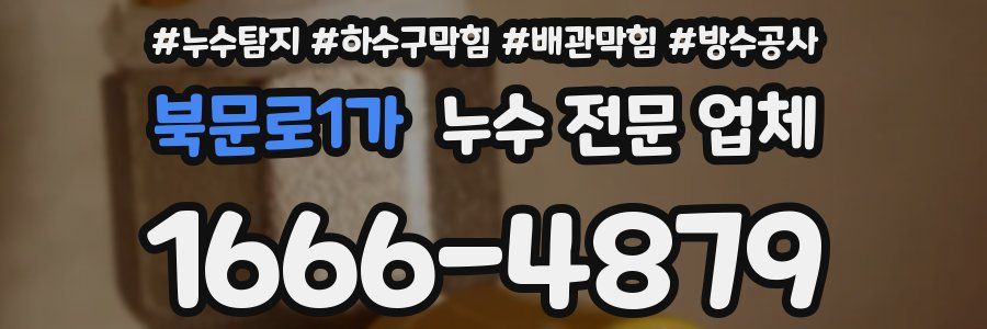 북문로1가 누수 전문 업체