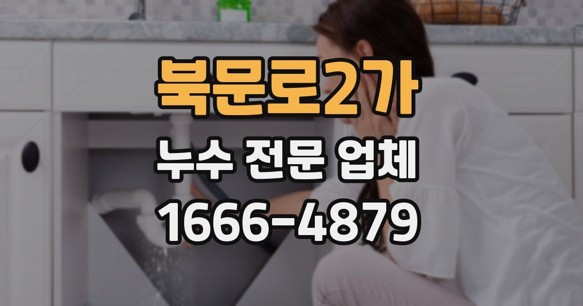 북문로2가 누수 전문 업체