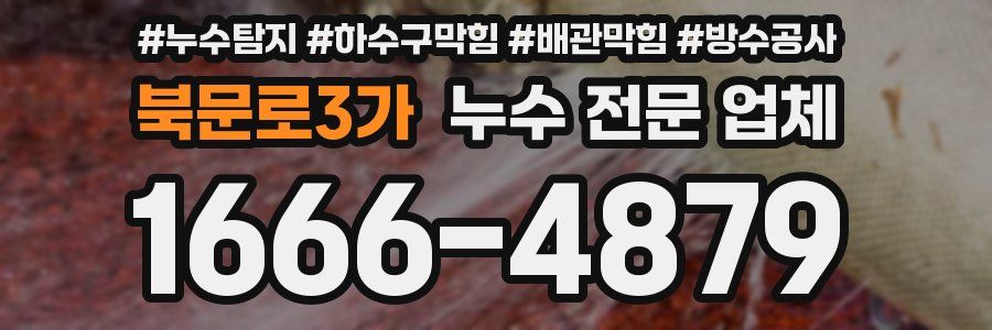 북문로3가 누수 전문 업체