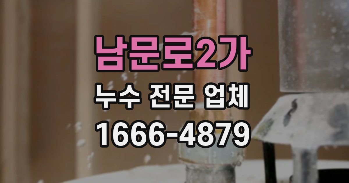 남문로2가 누수 전문 업체