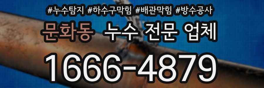 문화동 누수 전문 업체