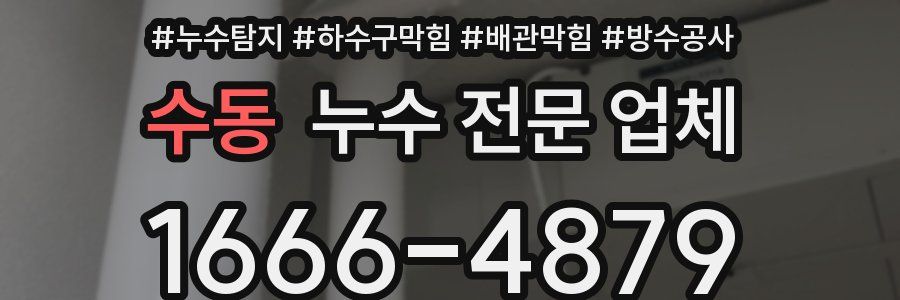 수동 누수 전문 업체
