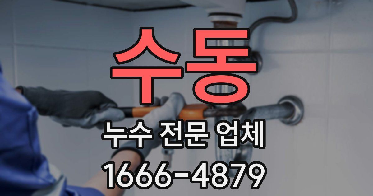 수동 누수 전문 업체