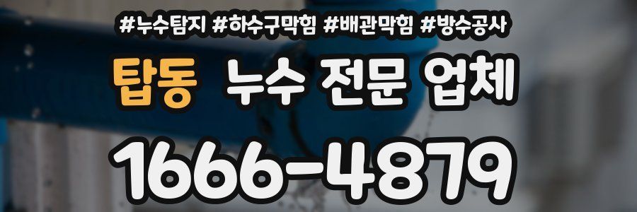 탑동 누수 전문 업체
