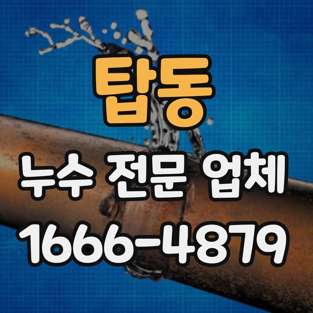 탑동 누수 전문 업체