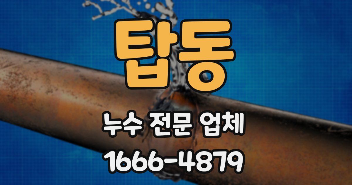 탑동 누수 전문 업체