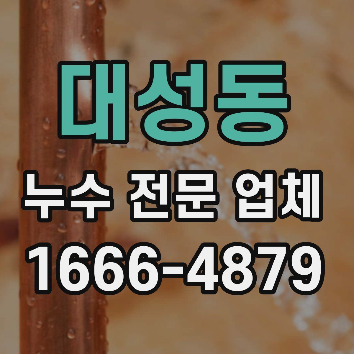 대성동 누수 전문 업체
