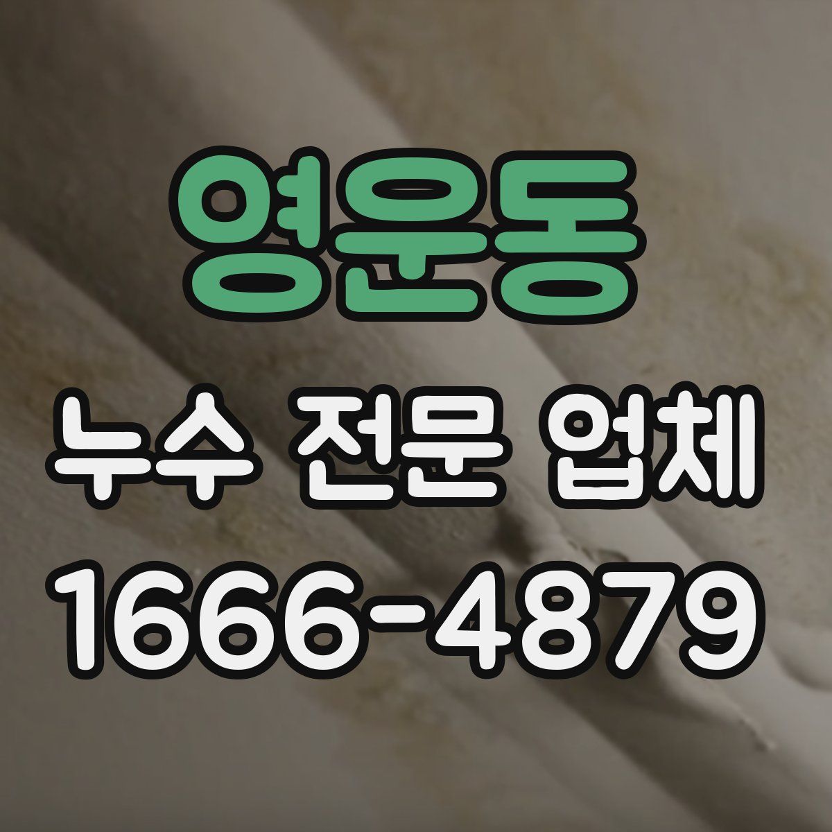 영운동 누수 전문 업체