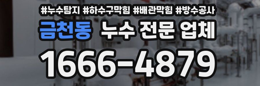 금천동 누수 전문 업체