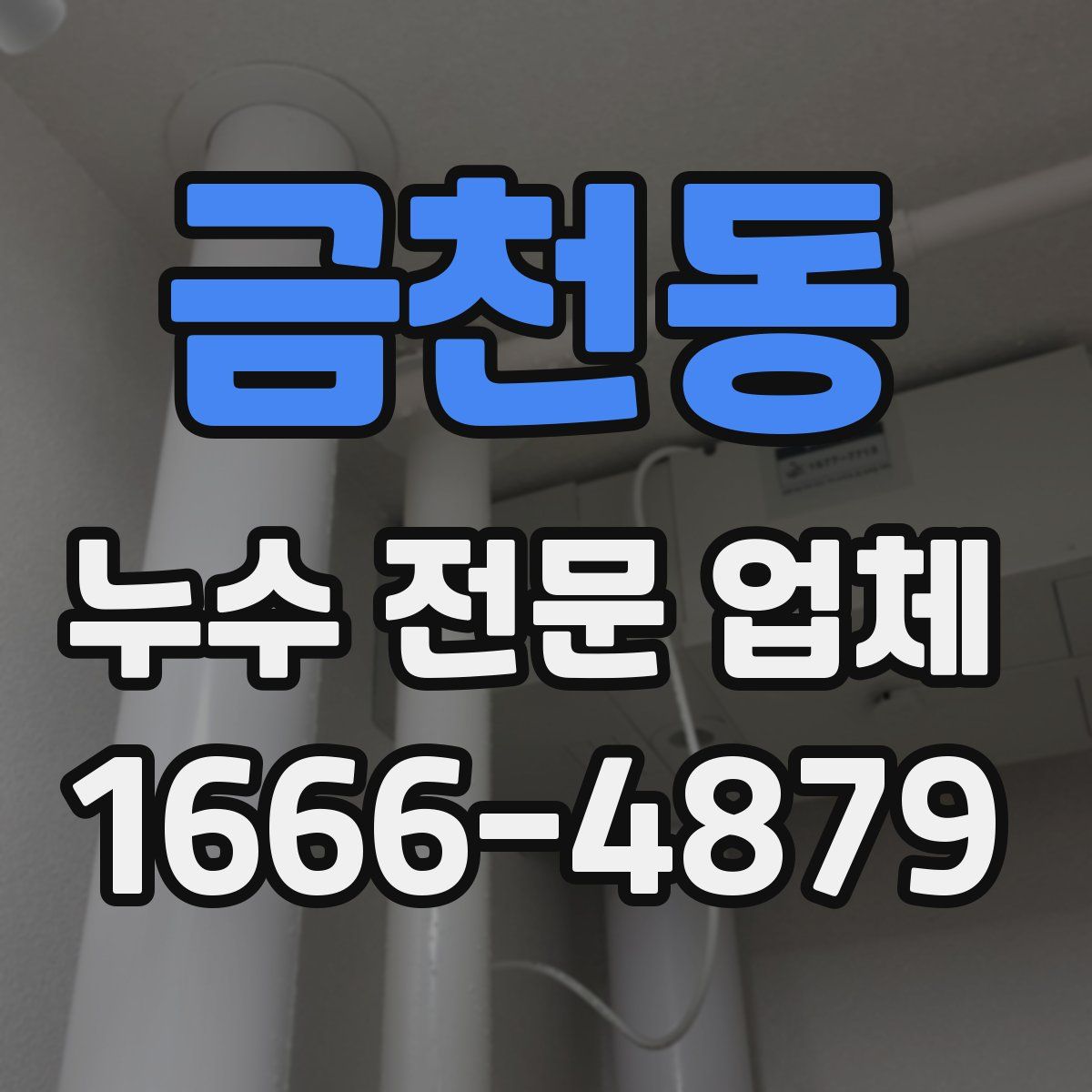 금천동 누수 전문 업체