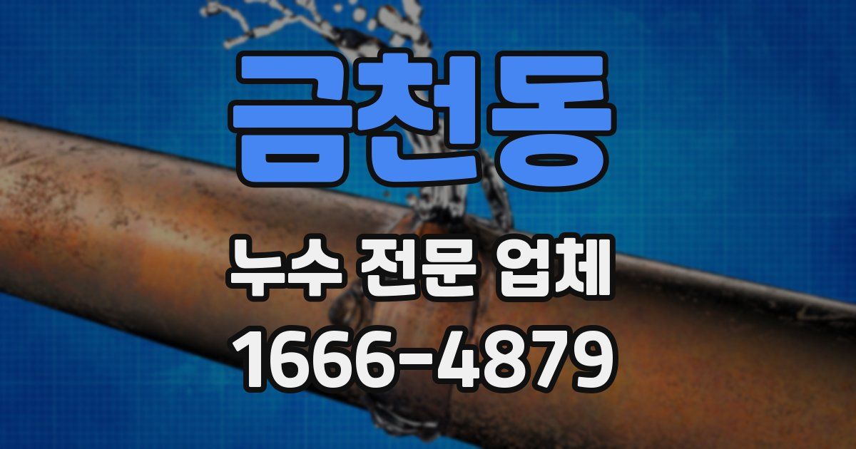 금천동 누수 전문 업체