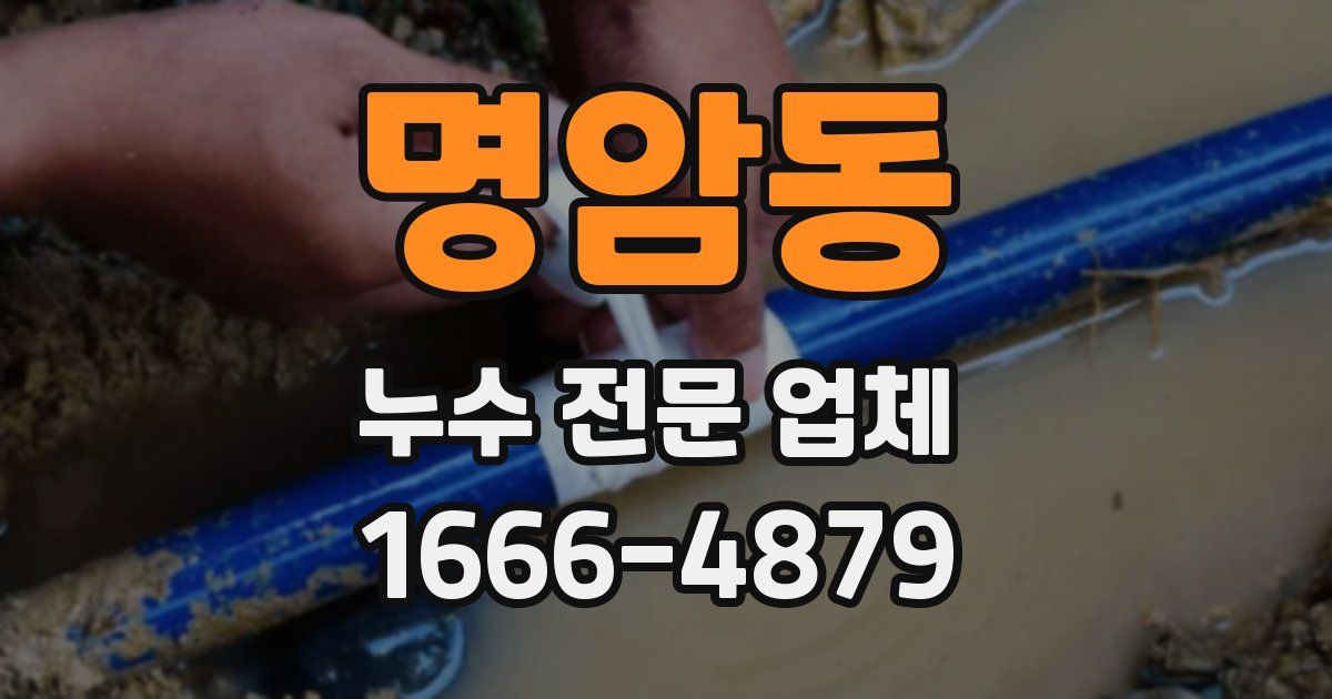 명암동 누수 전문 업체