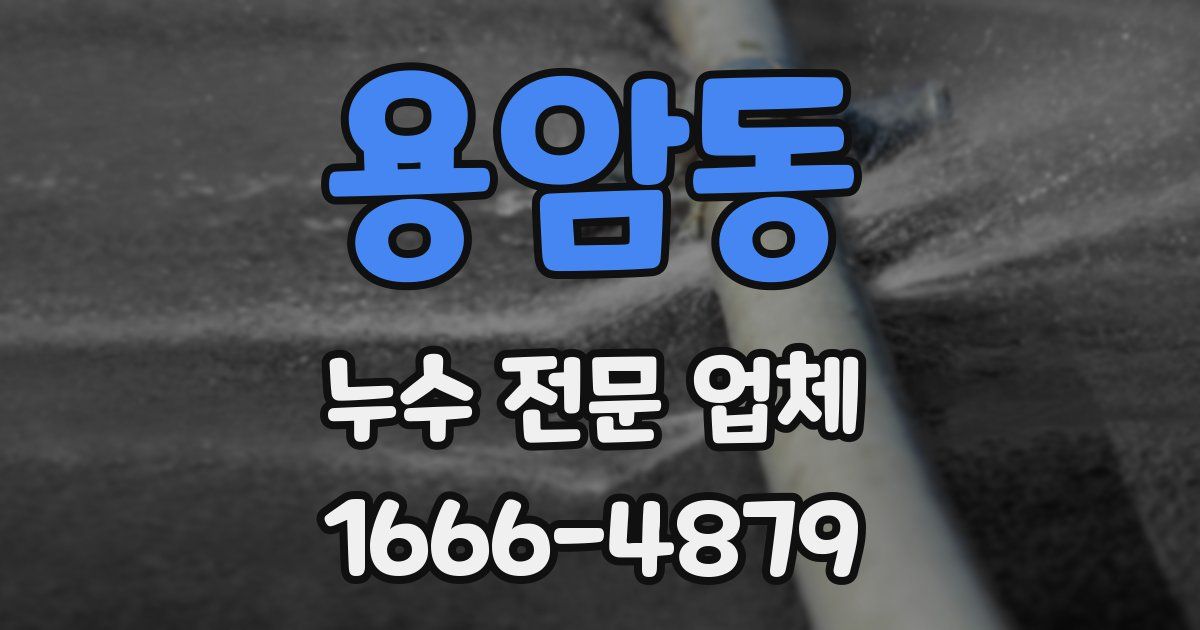 용암동 누수 전문 업체