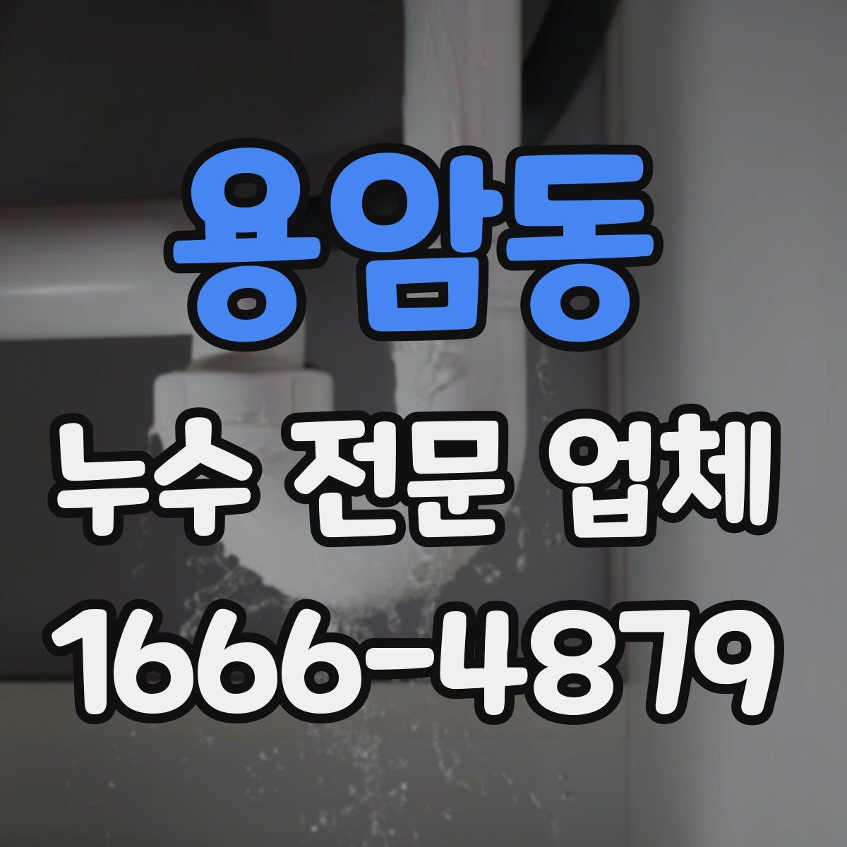 용암동 누수 전문 업체
