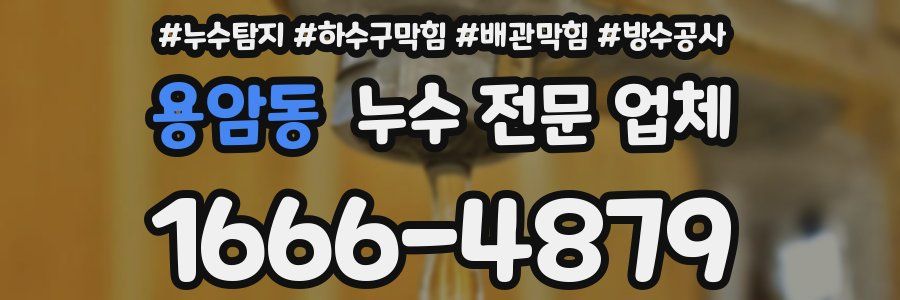 용암동 누수 전문 업체