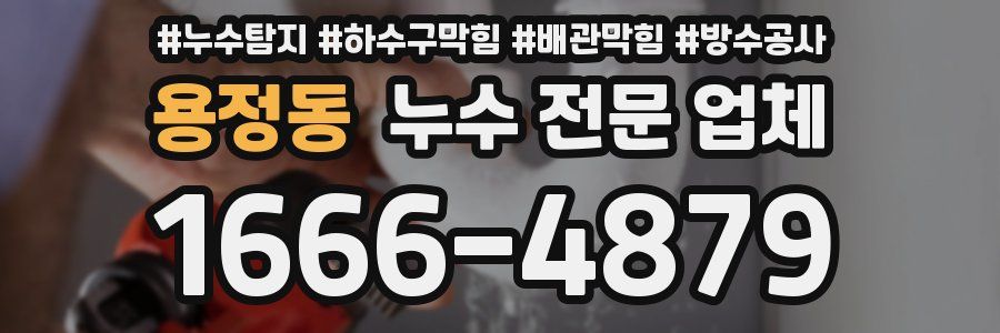 용정동 누수 전문 업체